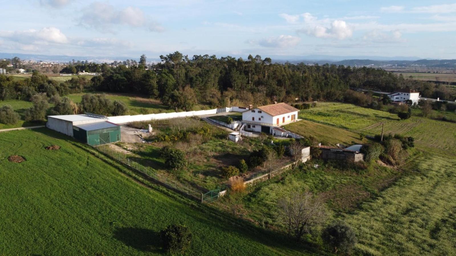 Quinta Da Barrosa Lejlighed Tentugal Eksteriør billede